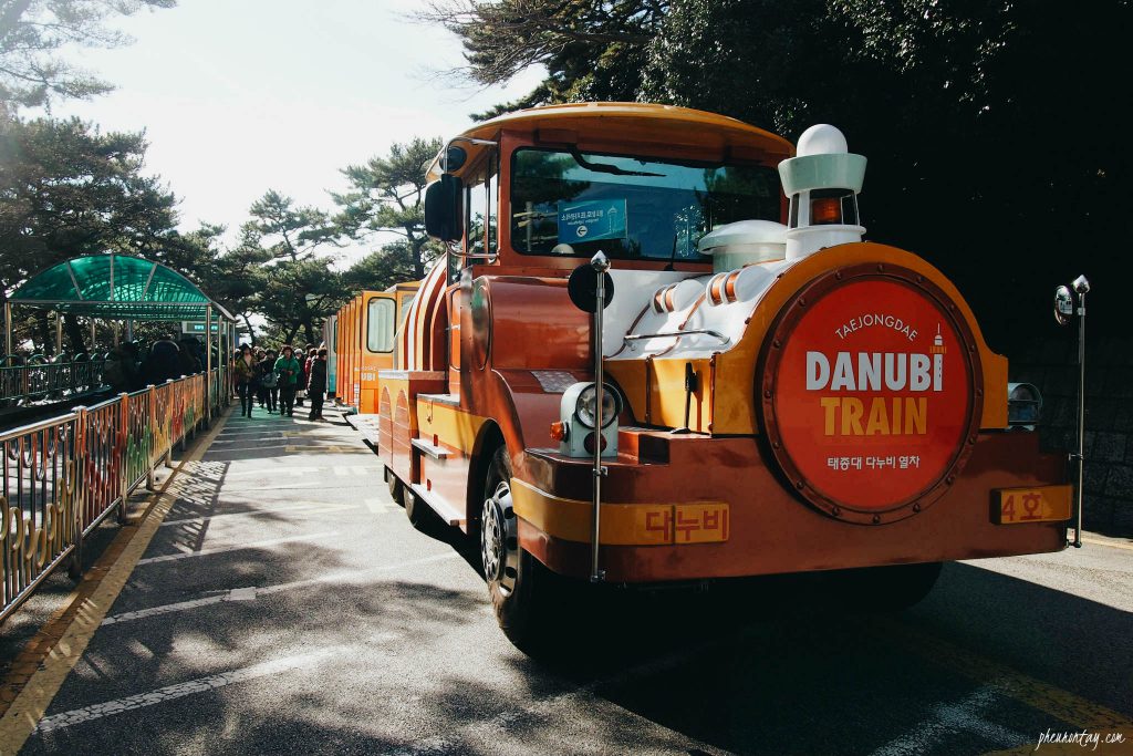 danubi train taejongdae park 