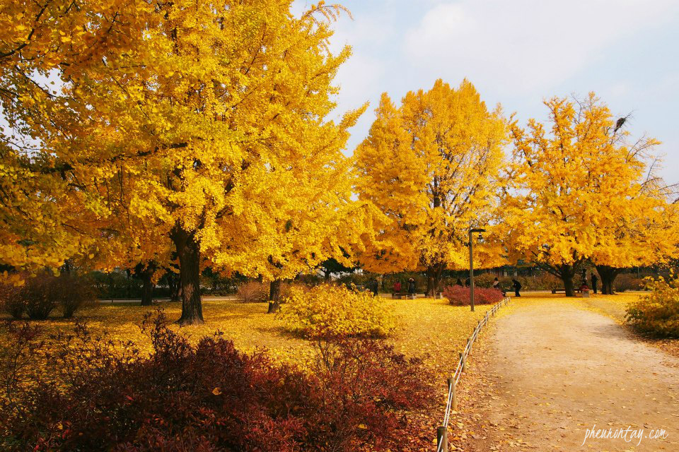 Autumn foliage at the Jagyeong-jeon.